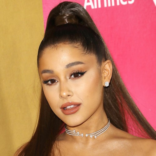 Ariana Grande's Stalker Pleads Guilty To Several Charges