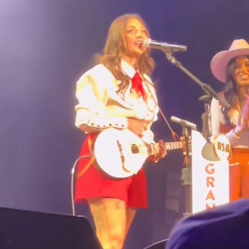 Grand Ole Opry Apologise For Elle King's 'hammered' Performance During