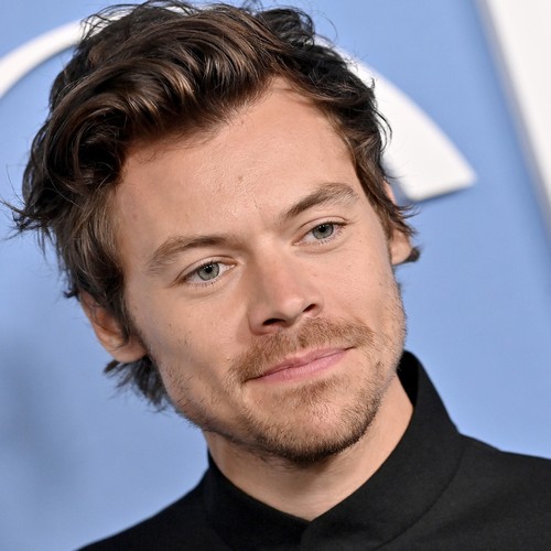 Harry Styles Left 'shaken' After 'being Harassed By Stalker'