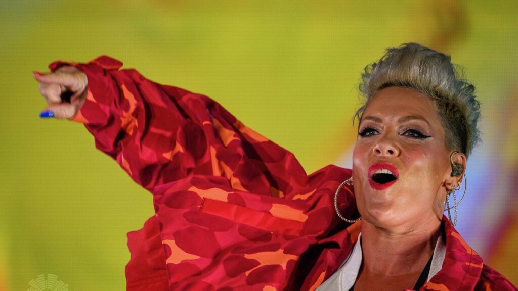 P!nk Concert Interrupted After Woman Goes Into Labor