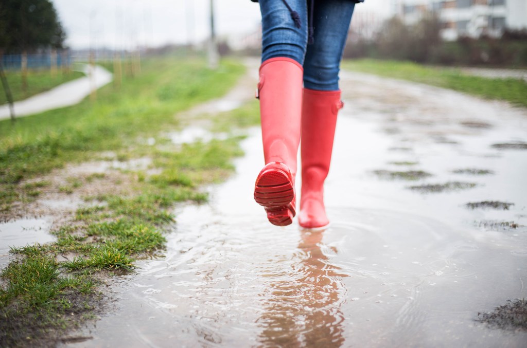 Flash Offer (flood)! Hunter Rain Boots On Sale For $90