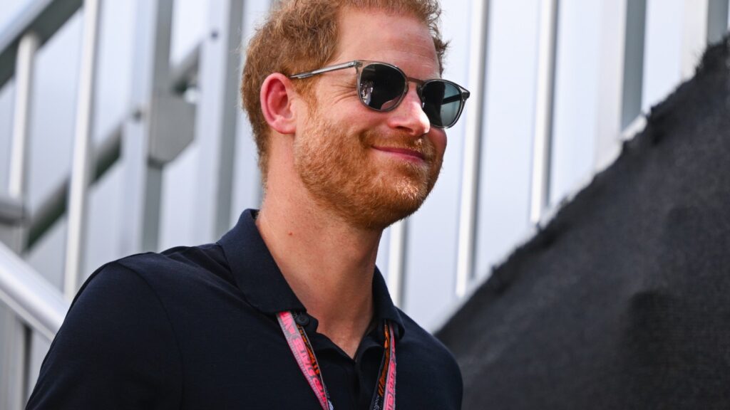 Prince Harry Sets Up Mirror Group Hacking Outfit, Takes A