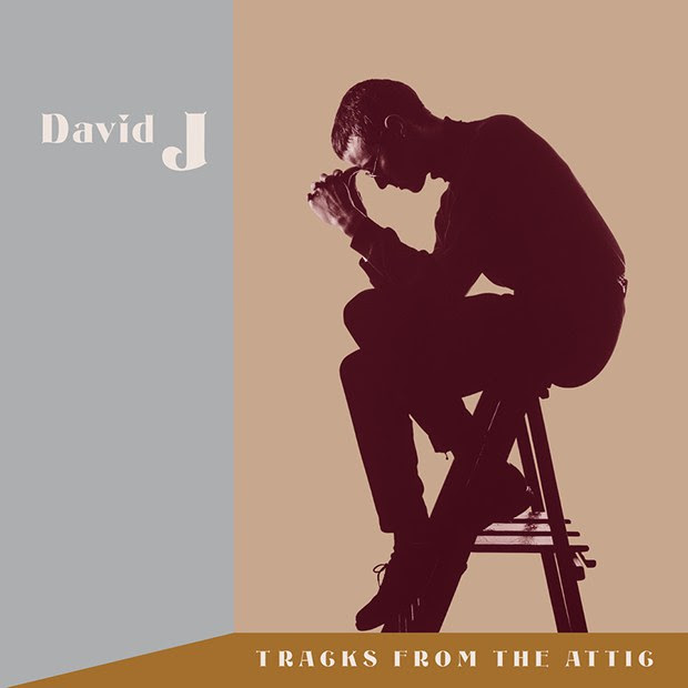 Tvd Radar: David J, Tracks From The Attic Box Set