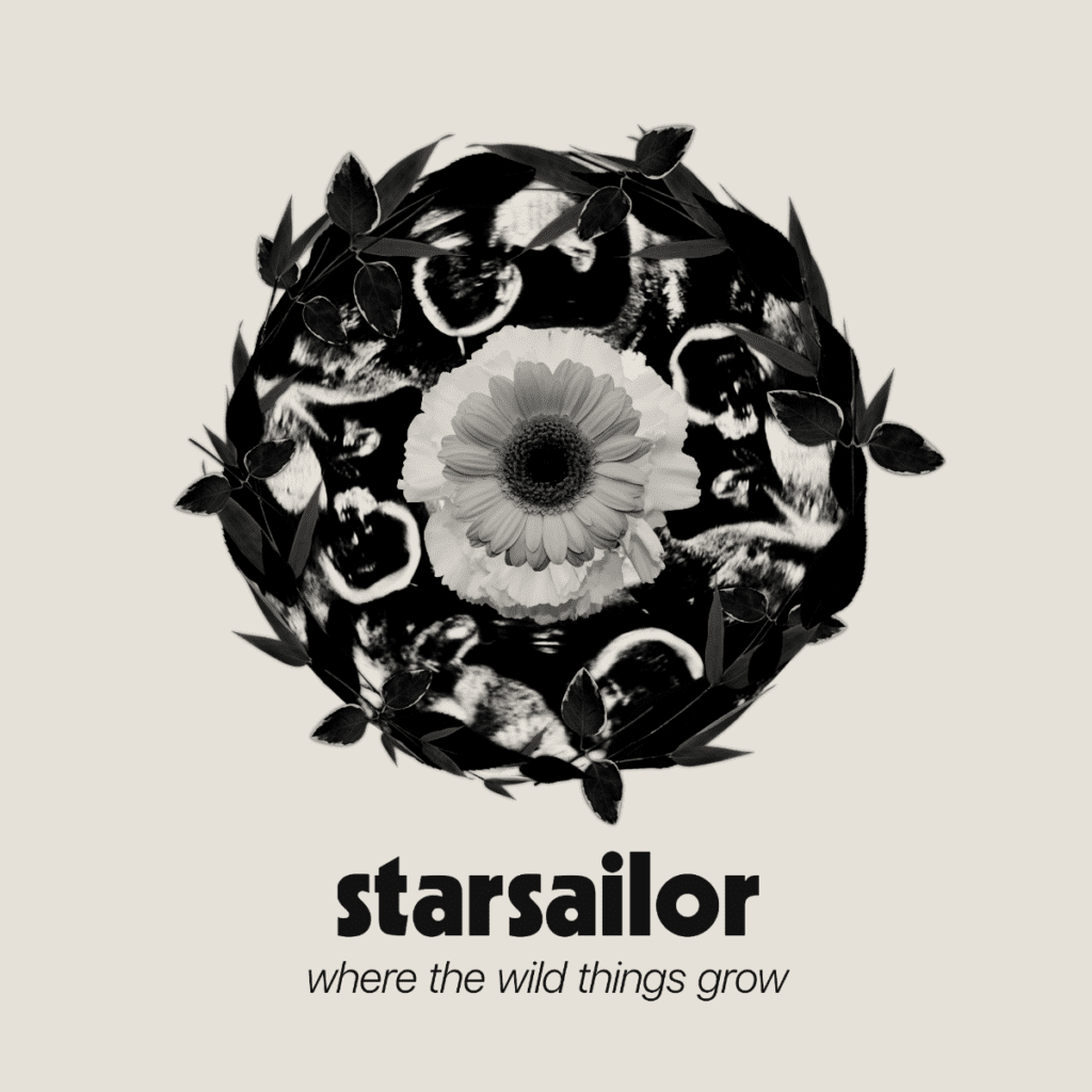 Album Review: Starsailor – Where Wild Things Grow