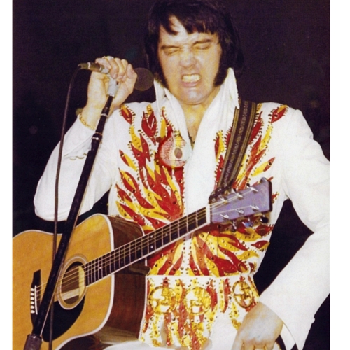 Elvis Presley’s 1974 Martin D28 Acoustic Guitar Up For Auction