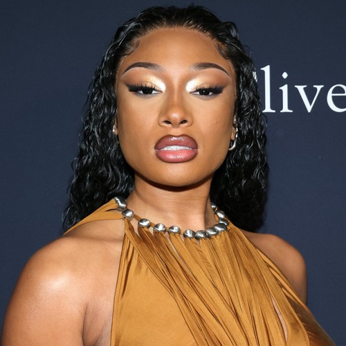 Megan Thee Stallion Slapped With Instagram Warning Over Raunchy Tour