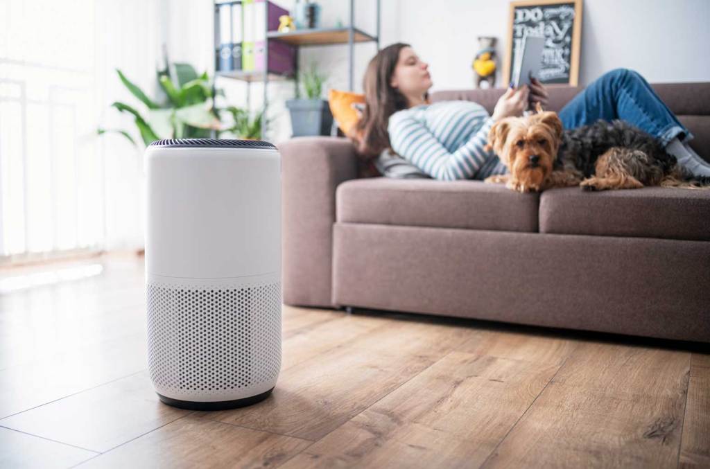 Best Budget Air Purifiers: 3 Affordable Options For Allergies, Pet