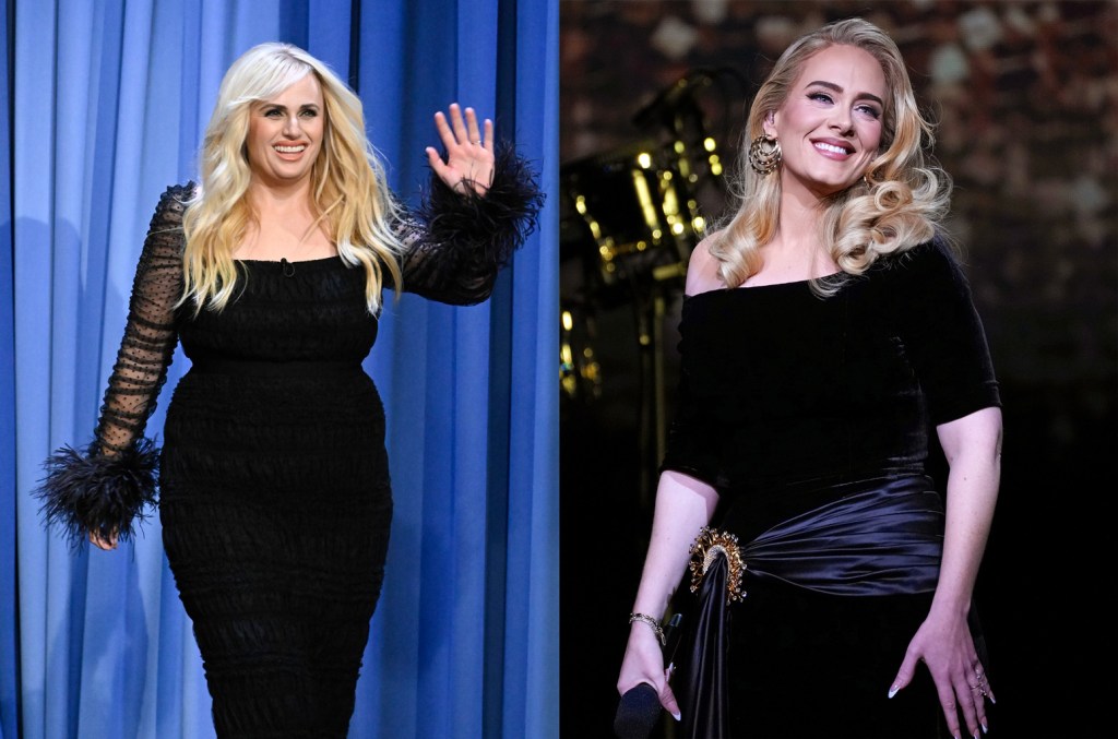 Rebel Wilson Thinks Adele 'hates' Her Over 'fat Amy' Comparisons: