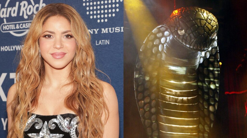 Shakira Says She 'lost Money' On Her First World Tour