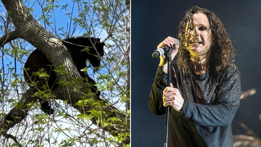 Rangers Attack Black Sabbath's “iron Man” In Attempt To Remove