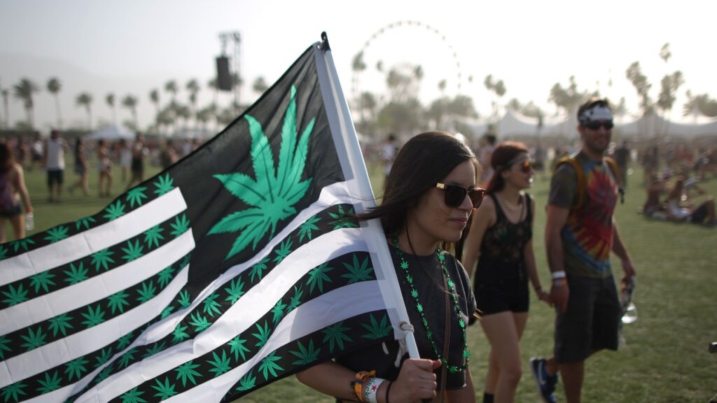 84% Of 2024 Festival Attendees Plan To Use Drugs