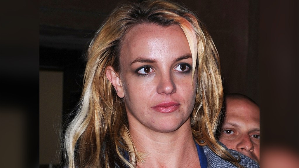 Britney Spears Speaks After Possible Emergency Situation In Los Angeles