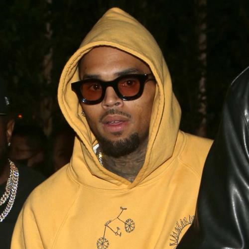 Chris Brown And Entourage Sued Over Alleged Assault