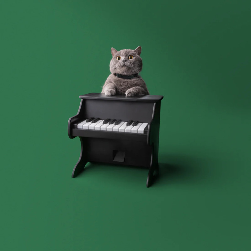 This Little Piano Gives Out Treats And Bribes Your Pets