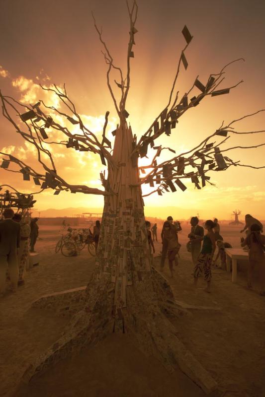 Burning Man 2024 Attendee's Death Investigated