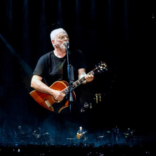 David Gilmour Boasts New Solo Album Is Best Thing He's