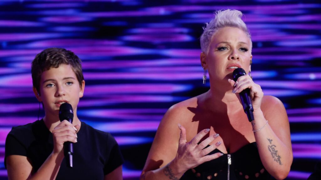 P!nk Performs “what About Us” With Daughter Willow At Dnc: