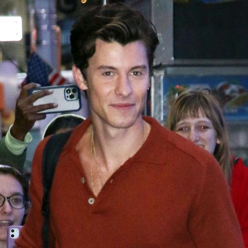 Shawn Mendes Hints At Pregnancy Scare With New Single