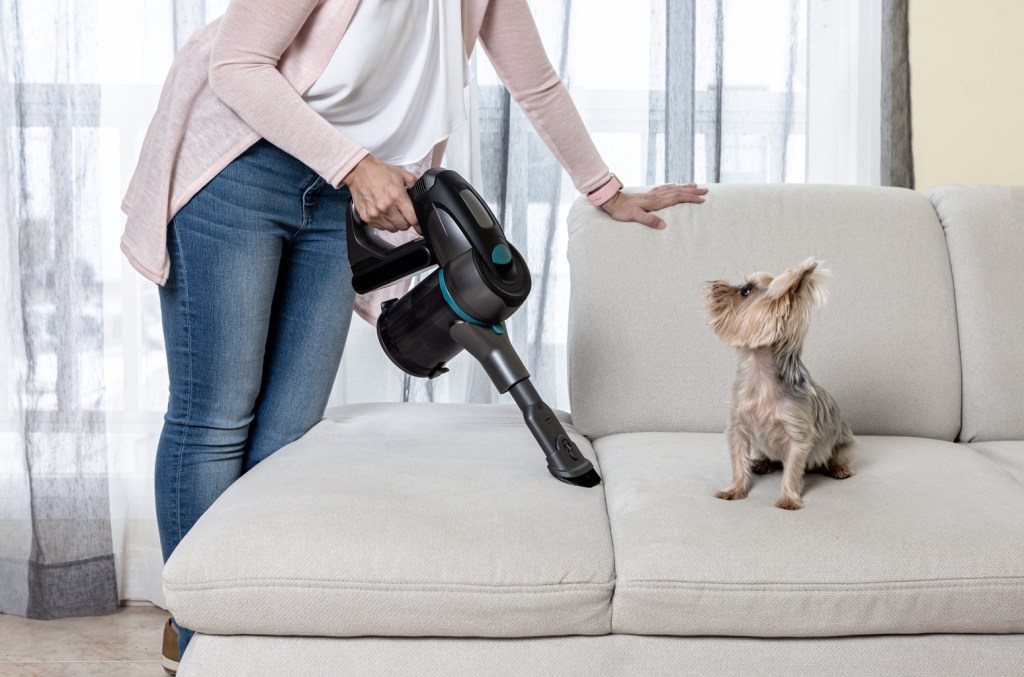 Reviewers Say This Tiktok Viral Pet Vacuum 'picks Up So Much