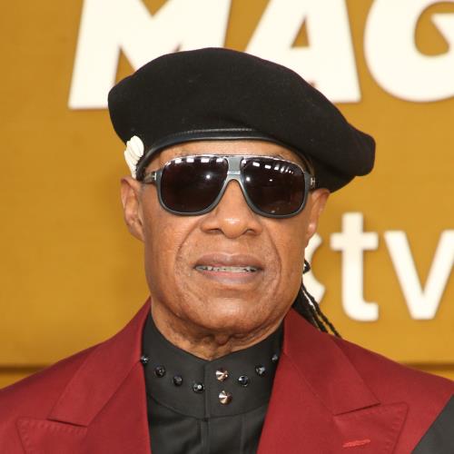 Stevie Wonder Announces Tour In Order To Influence Election Results