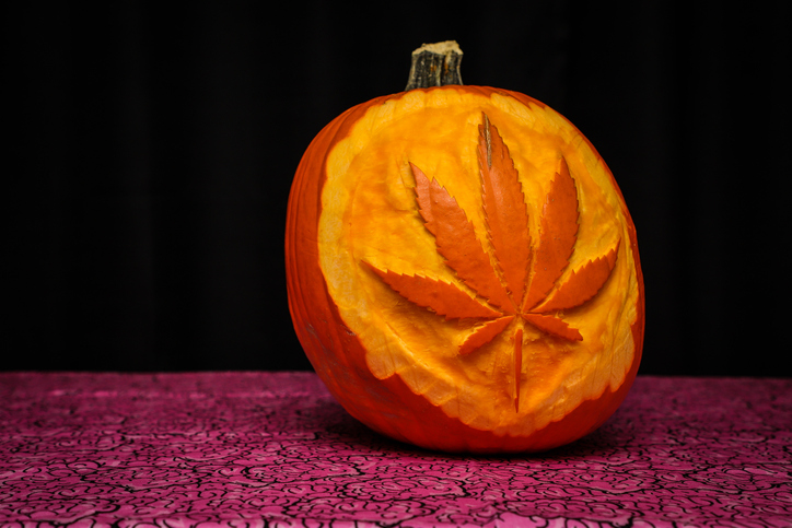 Happy Hallow Weed: The 2024 Cannabis Gift Guide Is Here