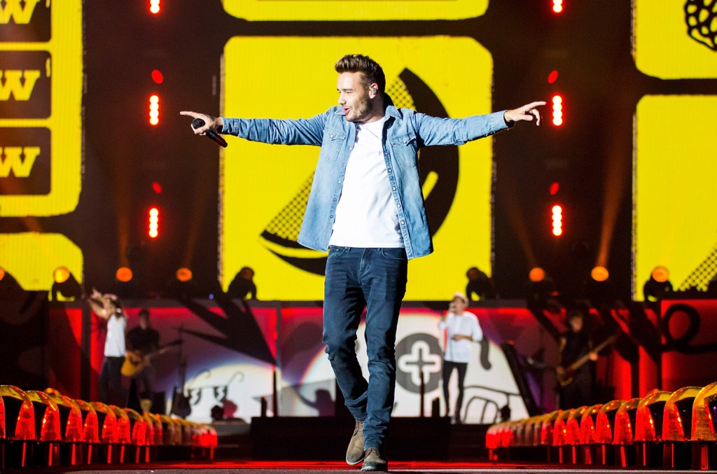 Liam Payne Helped Unlock One Direction's Potential