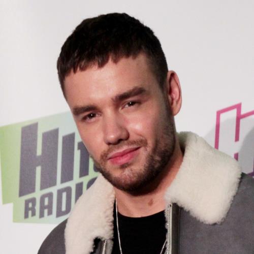 Liam Payne's Netflix Series Building The Band On Hold