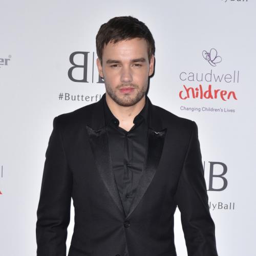 Liam Payne's Second Solo Album 'postponed'