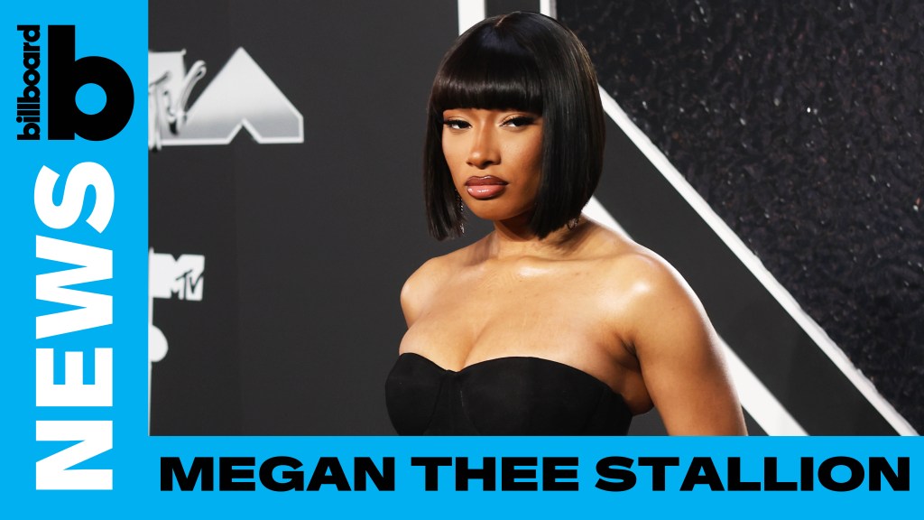 Megan Thee Stallion Files Lawsuit Against Youtuber For Lies About