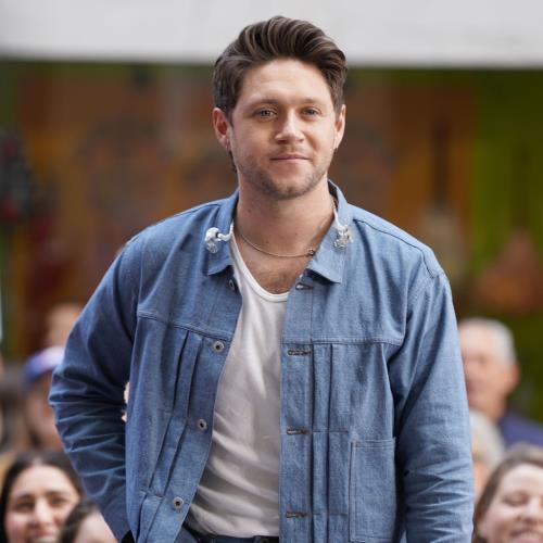 Niall Horan 'feels So Fortunate' He Saw Liam Payne Before