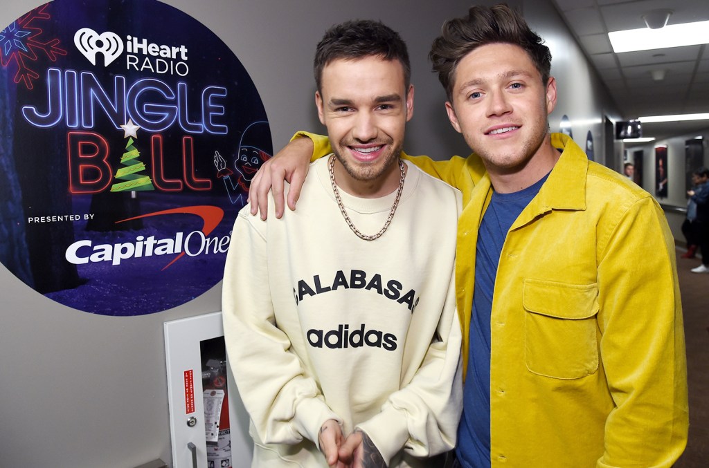 Niall Horan 'absolutely Devastated' By Death Of 'amazing Friend' Liam