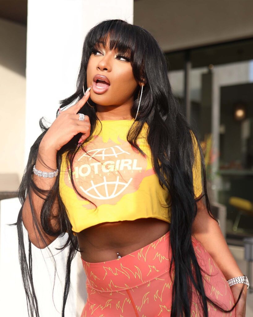 Megan Thee Stallion Ft. Flo Milli "roc Steady", Loaded Lux